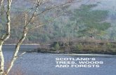 SCOTLAND’S TREES, WOODS AND FORESTS · TREES, WOODS AND FORESTS IN SCOTLAND Take a look around you – Scotland is rich in trees, woods and forests. From Galloway Forest Park in