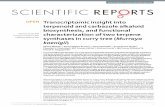 Transcriptomic insight into terpenoid and carbazole ...staff.cimap.res.in/PublicationFiles/Scientific_Reports..pdf · SCITIIC RPORTS 4412 OI 10.103srep4412 3 Although M. koenigii