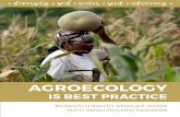 AGROECOLOGY - inicio€¦ · Agroecology encompasses a holistic science; a practice; and a movement with a bottom-up approach to creating just, ecologically sustainable and viable
