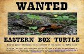 WANTED - Amazon Web Services · Midwestern United States •Turtles of the United States and Canada – Ernst and Lovich • • WOOD TURTLE RANGE Wood turtle life history is characterized