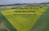 Variety Selection: On-Farm Canola Variety Trialscss.wsu.edu/oilseeds/files/2018/03/EsserSowersVarietySelection.pdf · Variety Selection: On-Farm Canola Variety Trials. ... Amanda