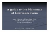 A guide to the Mammals of University Farm · Important notes on this guide This is an introductory guide to the mammal species of This is an introductory guide to the mammal species