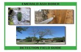 Emerald Ash Borer Field Guide - Wisconsin Department of ...dnr.wi.gov/topic/UrbanForests/.../EAB-FieldGuide.pdf · emerald Ash borer Detection Field Guide 3 ash ID: Green, White and