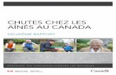 Chutes Chez les aînés au Canada - Table régionale de ...aines.centre-du-quebec.qc.ca/wp-content/uploads/2010/04/chutes_aines-fra.pdf · CHutes CHeZ les anés au Canada : deuxième