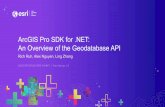ArcGIS Pro SDK for .NET: An Overview of the …...C++ C# Client Client Native Managed Managed API implementation Key API Characteristics • Designed and implemented using industry