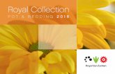 RVZ Catalogus binnenwerk 2018 voor PDF - Royal Van Zanten · RVZ_Catalogus binnenwerk 2018 voor PDF.indd 1 11-10-17 16:27. RVZ_Catalogus binnenwerk 2018 voor PDF.indd 2 11-10-17 16:27.