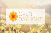 OpenDaylight Technical Architecture - 5G-Crosshaul5g-crosshaul.eu/wp-content/uploads/2016/10/UC3M_5tonic_SdnOdlDay_19Oct2016.pdfOpenDaylight Architectural Overview OpenDaylight (ODL)