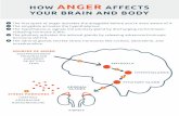 HOW ANGER AFFECTS YOUR BRAIN AND BODY · 2017-07-11 · HOW ANGER AFFECTS YOUR BRAIN AND BODY 1 The ﬁrst spark of anger activates the amygdala before you’re even aware of it.