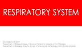 RESPIRATORY SYSTEM - thexgene.weebly.comthexgene.weebly.com/uploads/3/1/3/3/31333379/lec.7ressys.pdf · •Divided into the upper and lower respiratory tract. FUNCTIONAL DIVISION