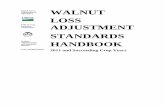 1999 Walnut Loss Adjustment Standards HandbookMature walnut production with mold damage greater than 8.0 percent, based on net delivered weight of dry hulled in-shell walnuts, will