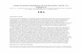 Gene-Protein Database of Escherichia coli K-12, Edition 6 · Edition 6 RUTH A. VANBOGELEN, KELLY Z. ABSHIRE, ALEXANDER PERTSEMLIDIS, ROBERT L. CLARK, AND FREDERICK C. NEIDHARDT 115