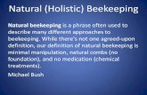 Natural (Holistic) Beekeeping · Practical Beekeeper Beekeeping Naturally”. Less Drone comb. Of course the bees are going to do what they want to do in spite of our efforts. More