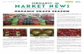 ORGANIC MARKET NEWS - Produce Distributors · 2016-11-08 · ORGANIC MARKET NEWS OUTLOOK FOR MAY 13 - MAY 20, 2016 MAY 13 - MAY 20, 2016 | WEEK 19 Crisp, fresh crop Organic Seedless
