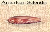 American Scientist - bit-player€¦ · the subject of a new book, The Algorithmic Beauty of Sea Shells (1), by Hans Meinhardt of the Max-Planck-Institut fur Entwicklungsbiologie