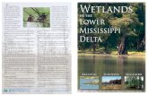Mississippi habitat work - Home | NRCSterfowl, amphibians, reptiles and other animals depend on these habitats. Floodwater Retention – Wetlands act as traps that hold back ﬂ oodwater