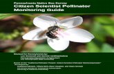 Pennsylvania Native Bee Survey Citizen Scientist Pollinator …pamgs.pbworks.com/f/PA-Revised+Native+bee+guide+2010.pdf · 2010-08-01 · This Pennsylvania edition is a collaborative
