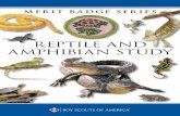 Reptile and amphibian Study - Troop 577 Wichita, Kansas · pet can be a good introduction to natural history. Knowing about venomous species, and what to do in case of a snakebite,