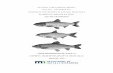 2017 Invasive Carp Sampling Report · Minnesota, native planktivores such as Paddlefish Polyodon spathula, Bigmouth Buffalo Ictiobus cyprinellus, Gizzard Shad Dorosoma cepedianum,