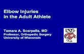 Elbow Injuries in the Adult Athlete - American College of ...forms.acsm.org/16tpc/PDFs/11 Scerpella.pdf · Elbow Injuries in the Adult Athlete Tamara A. Scerpella, MD Professor, Orthopedic