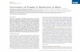 Neuron Report - Neuroscienceneuroscience.jhu.edu/files2/Dolen_et__al_Neuron.pdfNeuron Report Correction of Fragile X Syndrome in Mice Gu¨lDo¨len, 1,2 Emily Osterweil, B.S. Shankaranarayana