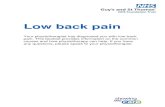 Low back pain - Guy's and St Thomas...Low back pain Your physiotherapist has diagnosed you with low back pain. This booklet provides information on the common causes and how physiotherapy