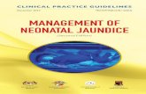 Management of Neonatal Jaundine (Second Edition) · • Prolonged jaundice (jaundice beyond 14 days in term babies and 21 days in preterm babies) TARGET GROUP/USER This CPG is intended