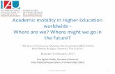 Academic mobility in Higher Education worldwide - Where ... · Academic mobility in Higher Education worldwide - Where are we? Where might we go in ... Evolution over 15 years (1999