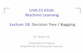 UVA CS 6316: Machine Learning Lecture 18: Decision Tree ...Machine Learning Lecture 18: Decision Tree / Bagging ... of Virginia Department of Computer Science . Course Content Plan