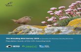 The Breeding Bird Survey 2018 - BTO · 2019-04-29 · the Breeding Bird Survey The BBS Year GRAPH: , MOUSE GR APHIC: refreshed online data-entry system. The system ICONS8.COM Some
