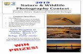 2019 Nature & Wildlife Photography Contest Nature & Wildlife Photography Contest Parker River National