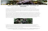 Helping the Unintended Victims of Bushmeat Snares … · Rescuing chimpanzees from bushmeat hunters’ snares in Uganda In Uganda, although it is illegal, hunters set forest snares
