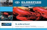 Globefish Commodity Update - July COMMODITY update The COMMODITY UPDATE reports, issued for each commodity