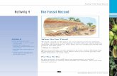 Activity 4 The Fossil Record - Woodstown-Pilesgrove Regional … · 2011-11-03 · Activity 4 The Fossil Record GOALS In this activity you will: • Model ways in which fossils are