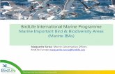 BirdLife International Marine Programme Marine Important ... · 12/4/2015  · BirdLife International Marine Programme Marine Important Bird & Biodiversity Areas (Marine IBAs) Marguerite