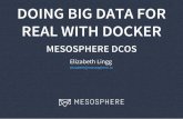 DOING BIG DATA FOR REAL WITH DOCKER · 2017-12-14 · The Mesosphere DCOS is a distributed operating system built around Apache Mesos. This utility provides tools for easy management