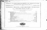 HORSES, MULES, AND MOTOR VEHICLES - Cornell University · HORSES, MULES, AND MOTOR VEHICLES Year Ended March 31, 1924 With Comparable Data for Earlier Years Prepared 6g the Bureau