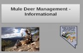 Mule Deer Management - Informational€¦ · Mule Deer Management - Informational . Presentation Overview •Primary recommendations from peer review –Agency addressing all aspects