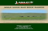 Mule Shoe Bar Beck Ranch - lashleyrealestate.comlashleyrealestate.com/.../Mule-Shoe-Bar-Beck-Ranch... · Each ranch can be operated separately, or if desired, operated as one ranch.