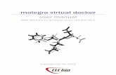 molegro virtual docker - azevedolab.net · Molegro Virtual Docker (MVD) is an integrated environment for studying and predicting how ligands interact with macromolecules. The identification