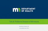 Ticks & Tickborne Diseases of MinnesotaTicks & Tickborne Diseases of Minnesota Vectorborne Diseases Unit Last Updated July 8, 2019. What is a tickborne disease and why should you care