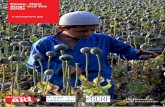 Peace, illicit drugs and the SDGs - Christian Aid...8 Peace, illicit drugs and the SDGs A development gap are struggling to build peace after decades of war. These marginal spaces