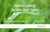 Market Outlook for Irish Beef Sector - Minister for …...Market Outlook for Irish Beef Sector Growing the success of Irish food & horticulture 0 5,000 10,000 15,000 20,000 25,000