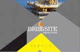 Bridgside Online Profile - bridgsitelimited.comMaterials for ENL OML 58 Project Upgrade Phase I. Provision Of Scaffold Materials for Offshore Construction works Provision Of Scaffolding