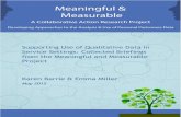 Supporting Use of Qualitative Data in Service Settings ... · MEANINGFUL & MEASURABLE PROJECT REPORT: SUPPORTING THE USE OF QUALITATIVE DATA 1 Supporting the Use of Qualitative Data