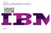 16055 - IBM Mobile Platform development hands on lab · An environment is a mobile, desktop, or web platform capable of displaying web-based applications, such as the Apple iPhone,