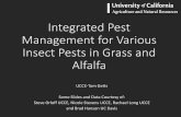 Integrated Pest Management for Various Insect Pests in ...cesiskiyou.ucanr.edu/files/275639.pdf · Integrated Pest Management for Various Insect Pests in Grass and Alfalfa UCCE-Tom