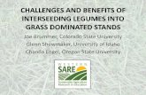 Challenges and Benefits of Interseeding Legumes into Grass ...alfalfa.ucdavis.edu/+symposium/2011/...InterseedingLegumes_Powe… · Use of Herbicides for Interseeding •Roundup (glyphosate)
