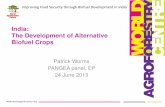 India: The Development of Alternative Biofuel Crops · The Development of Alternative Biofuel Crops Improving Food Security through Biofuel Development in India Patrick Worms PANGEA