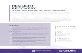 RESILIENT RECOVERY - reliefweb.int · resilient recovery. GFDRR’s Resilient Recovery program is involved in every major disaster, helping affected countries assess damage as well