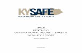 2018 KENTUCKY OCCUPATIONAL INJURY, ILLNESS ... Reports/2016 Report.pdfStatistics (BLS), Kentucky employers reported the lowest incident rate for nonfatal occupational injuries and